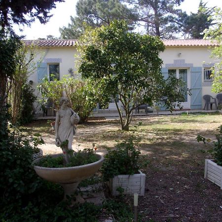 Mas Des Pins Bed and Breakfast Saint-Cyprien  Eksteriør billede