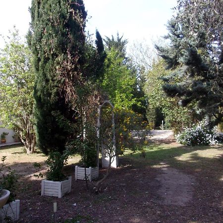 Mas Des Pins Bed and Breakfast Saint-Cyprien  Eksteriør billede
