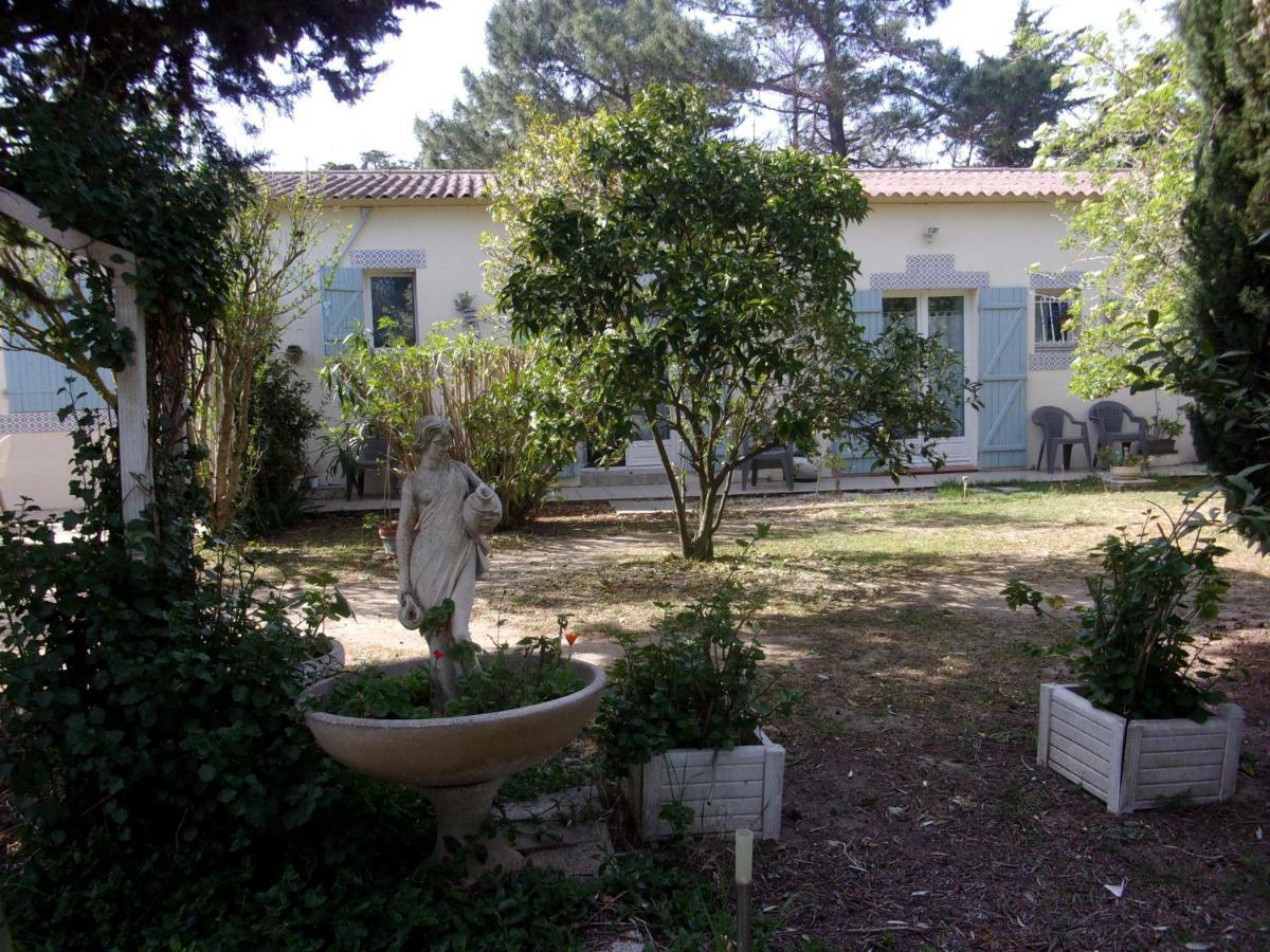 Mas Des Pins Bed and Breakfast Saint-Cyprien  Eksteriør billede