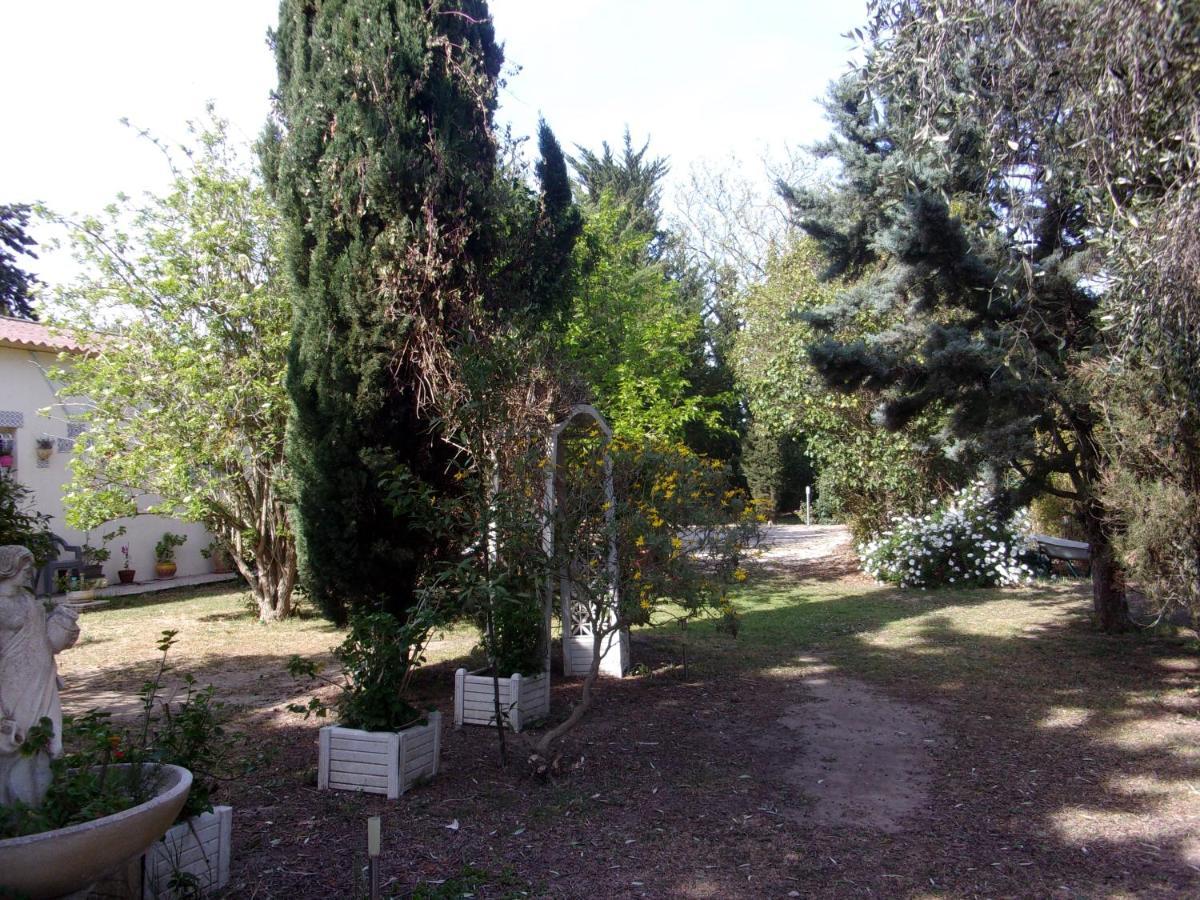 Mas Des Pins Bed and Breakfast Saint-Cyprien  Eksteriør billede