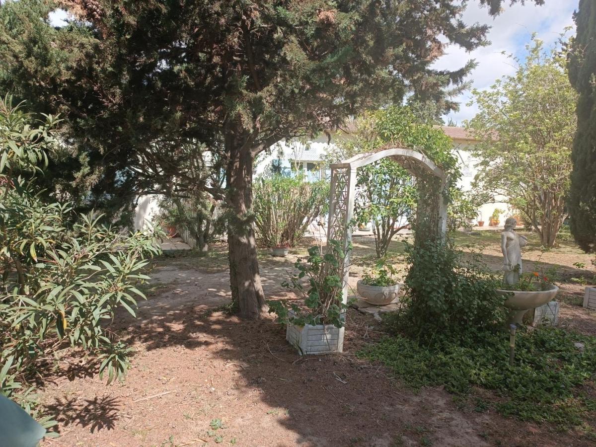 Mas Des Pins Bed and Breakfast Saint-Cyprien  Eksteriør billede