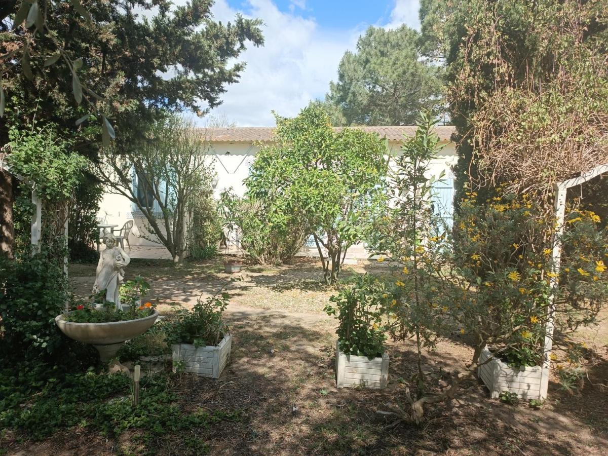 Mas Des Pins Bed and Breakfast Saint-Cyprien  Eksteriør billede